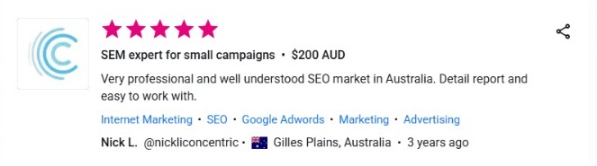 SEM Expert for small projects